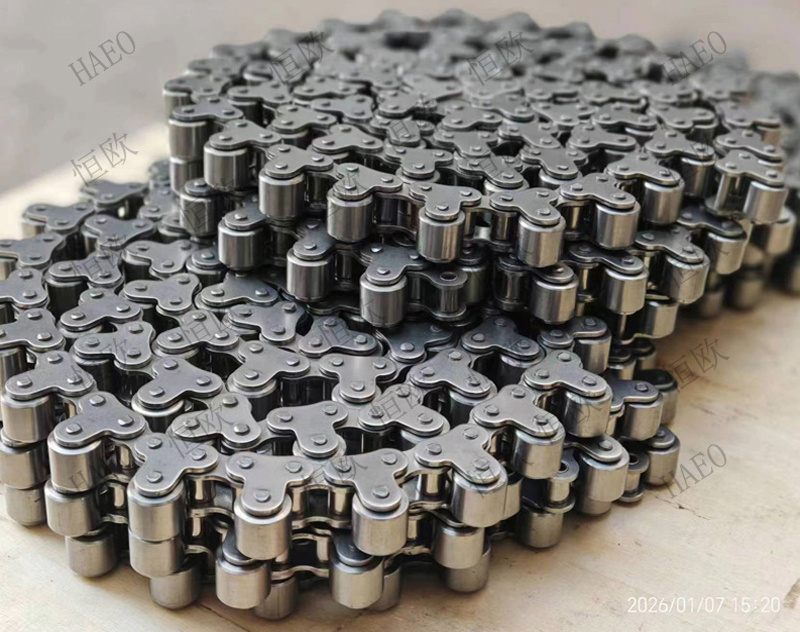 12A-TRSS 不锈钢顶置滚轮链条